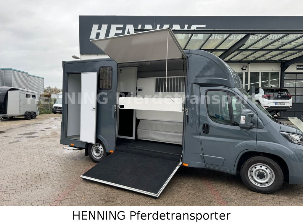 Fiat Ducato *NEUWAGEN* ca.1100 kg Nutzlast - 말 수송 트럭 : 사진 4 Fiat Ducato *NEUWAGEN* ca.1100 kg Nutzlast - 말 수송 트럭 : 사진 4