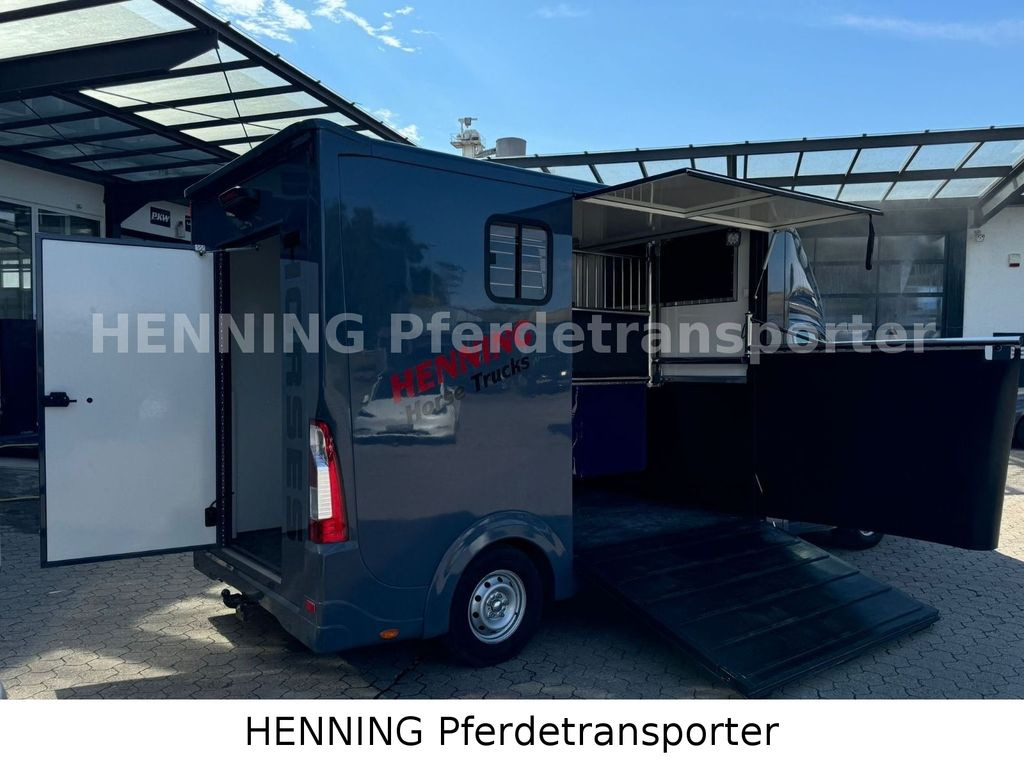 Opel Movano 3 - Sitzer *AUFBAU NEU* - 말 수송 트럭 : 사진 3 Opel Movano 3 - Sitzer *AUFBAU NEU* - 말 수송 트럭 : 사진 3