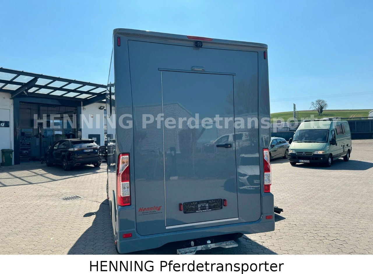 말 수송 트럭 Peugeot Boxer 3-Sitzer *NEUWAGEN* 1000 KG NUTZLAST : 사진 12