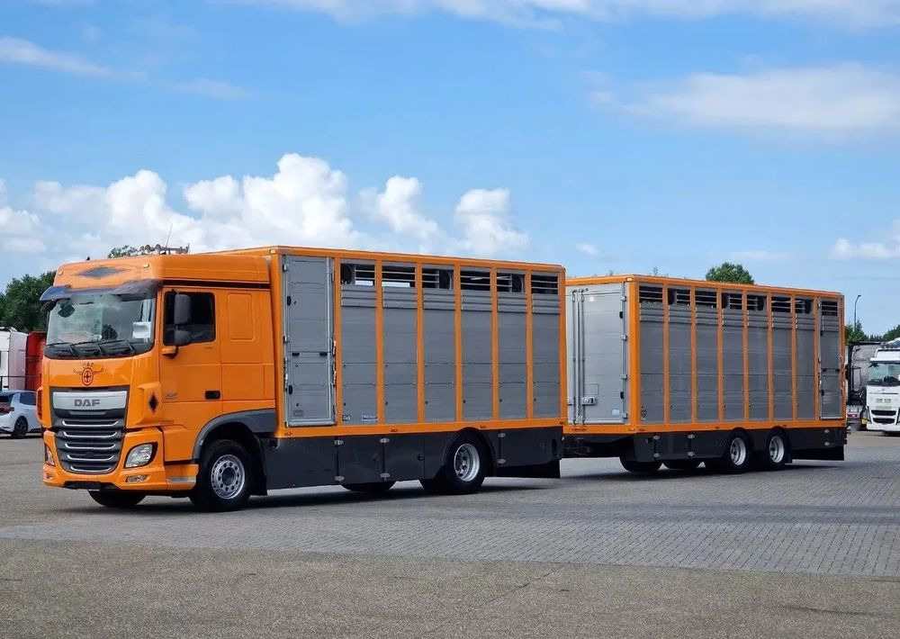 DAF XF 460 4x2 SpaceCab – Menke Livestock | 1 pokład | Euro 6 | 2016 - 가축 트럭 : 사진 1 DAF XF 460 4x2 SpaceCab – Menke Livestock | 1 pokład | Euro 6 | 2016 - 가축 트럭 : 사진 1