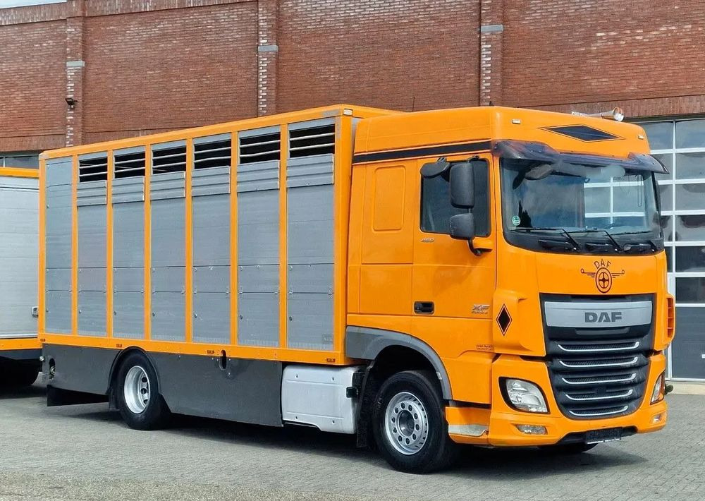 DAF XF 460 4x2 SpaceCab – Menke Livestock | 1 pokład | Euro 6 | 2016 - 가축 트럭 : 사진 4 DAF XF 460 4x2 SpaceCab – Menke Livestock | 1 pokład | Euro 6 | 2016 - 가축 트럭 : 사진 4