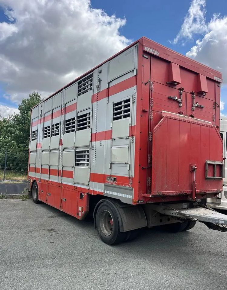 DAF XF 530 + Przyczepa Pezzaoli - 3X Trzoda, 2 X Bydło I 3 poziomy I Podnoszony dach I Hydroburta I Osie Skrętne I Poidła I Wentylatory I Pilot Manualny | - 가축 트럭 : 사진 4 DAF XF 530 + Przyczepa Pezzaoli - 3X Trzoda, 2 X Bydło I 3 poziomy I Podnoszony dach I Hydroburta I Osie Skrętne I Poidła I Wentylatory I Pilot Manualny | - 가축 트럭 : 사진 4