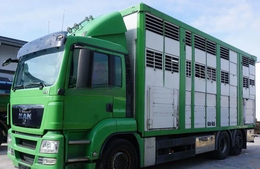 MAN TGS 26.440 ZABUDOWA KABA CAŁA ALUMINIOWA– samochód do transportu zwierząt/koni – 3 pokłady / EURO 5/6X2/PODNOSZONY DACH - 가축 트럭 : 사진 1 MAN TGS 26.440 ZABUDOWA KABA CAŁA ALUMINIOWA– samochód do transportu zwierząt/koni – 3 pokłady / EURO 5/6X2/PODNOSZONY DACH - 가축 트럭 : 사진 1