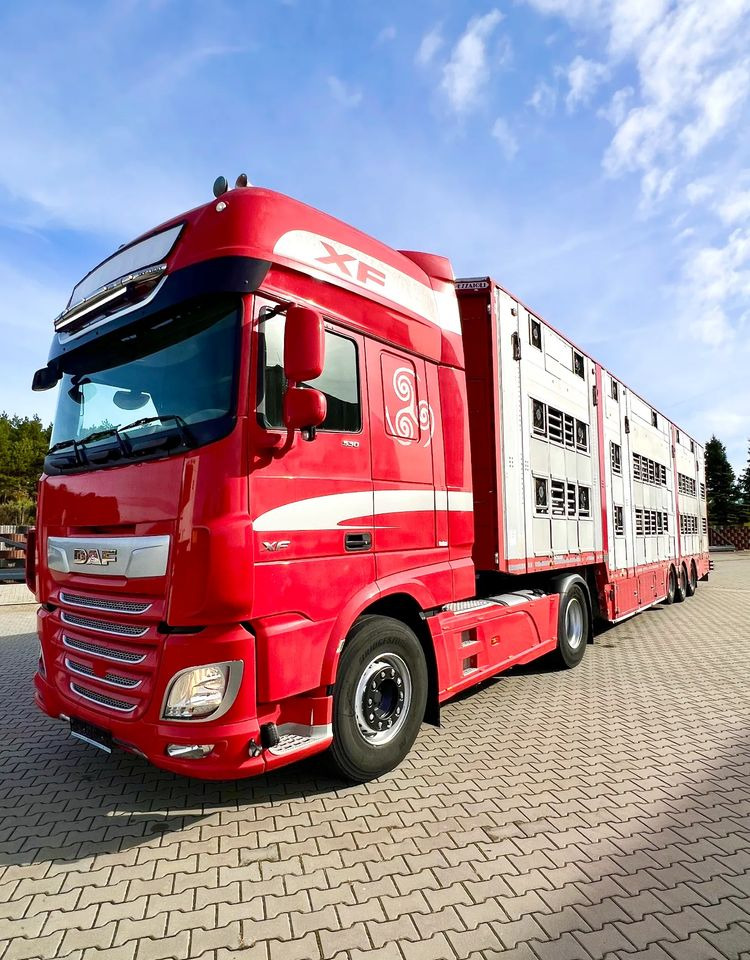 Pezzaioli NACZEPA 2017 / 3 POZIOMY / TRANSPORT ZWIERZĄT / HYDRAULIKA / STEROWANIE PILOTEM/ PODNOSZONY DACH / - 가축 세미 트레일러 : 사진 5 Pezzaioli NACZEPA 2017 / 3 POZIOMY / TRANSPORT ZWIERZĄT / HYDRAULIKA / STEROWANIE PILOTEM/ PODNOSZONY DACH / - 가축 세미 트레일러 : 사진 5