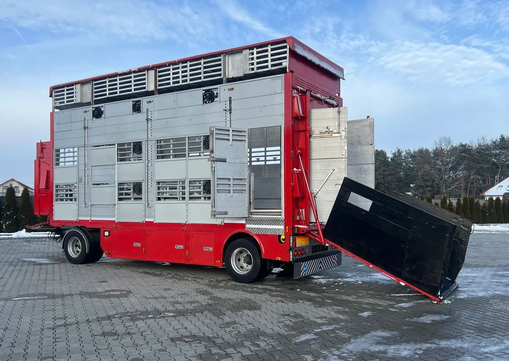Pezzaioli Pezzaioli RBA22 Dwuosiowa Przyczepa – 2x Bydło, 3x Trzoda - 가축 트레일러 : 사진 1 Pezzaioli Pezzaioli RBA22 Dwuosiowa Przyczepa – 2x Bydło, 3x Trzoda - 가축 트레일러 : 사진 1
