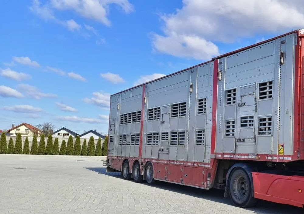 Pezzaioli SBA32/hydrauliczny dach/hydrauliczna rampa/ 3 poziomy/ 2xbydło -3xtrzoda/wentylatory/poidła/sterowanie pilotem - 가축 세미 트레일러 : 사진 1 Pezzaioli SBA32/hydrauliczny dach/hydrauliczna rampa/ 3 poziomy/ 2xbydło -3xtrzoda/wentylatory/poidła/sterowanie pilotem - 가축 세미 트레일러 : 사진 1