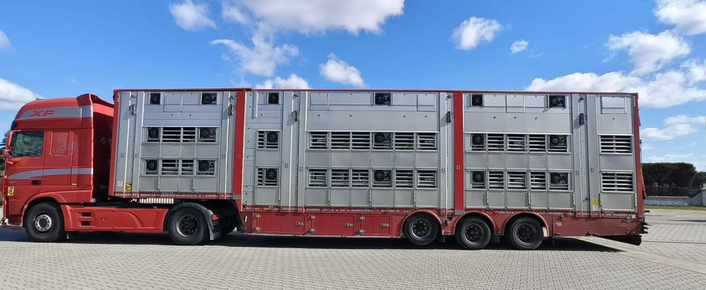 Pezzaioli SBA32/hydrauliczny dach/hydrauliczna rampa/ 3 poziomy/ 2xbydło -3xtrzoda/wentylatory/poidła/sterowanie pilotem - 가축 세미 트레일러 : 사진 3 Pezzaioli SBA32/hydrauliczny dach/hydrauliczna rampa/ 3 poziomy/ 2xbydło -3xtrzoda/wentylatory/poidła/sterowanie pilotem - 가축 세미 트레일러 : 사진 3
