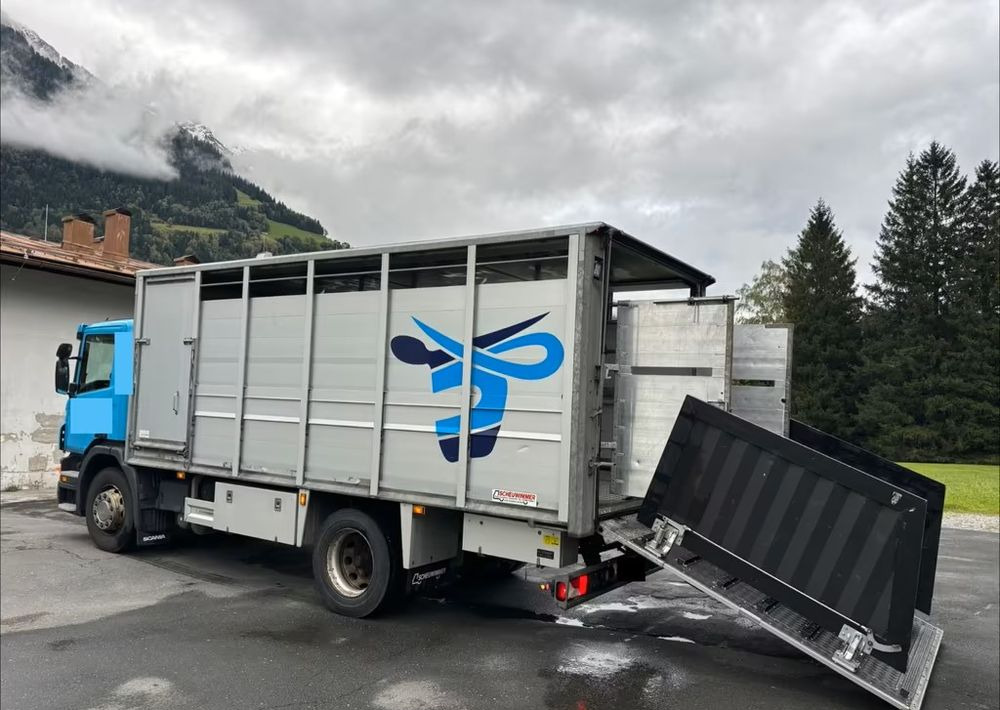 Scania P280 4x2 – Pojazd do przewozu zwierząt VIEHFAHRZEUG / jednopoziomowy – 171.000 km!! – Euro 5 - 가축 트럭 : 사진 5 Scania P280 4x2 – Pojazd do przewozu zwierząt VIEHFAHRZEUG / jednopoziomowy – 171.000 km!! – Euro 5 - 가축 트럭 : 사진 5
