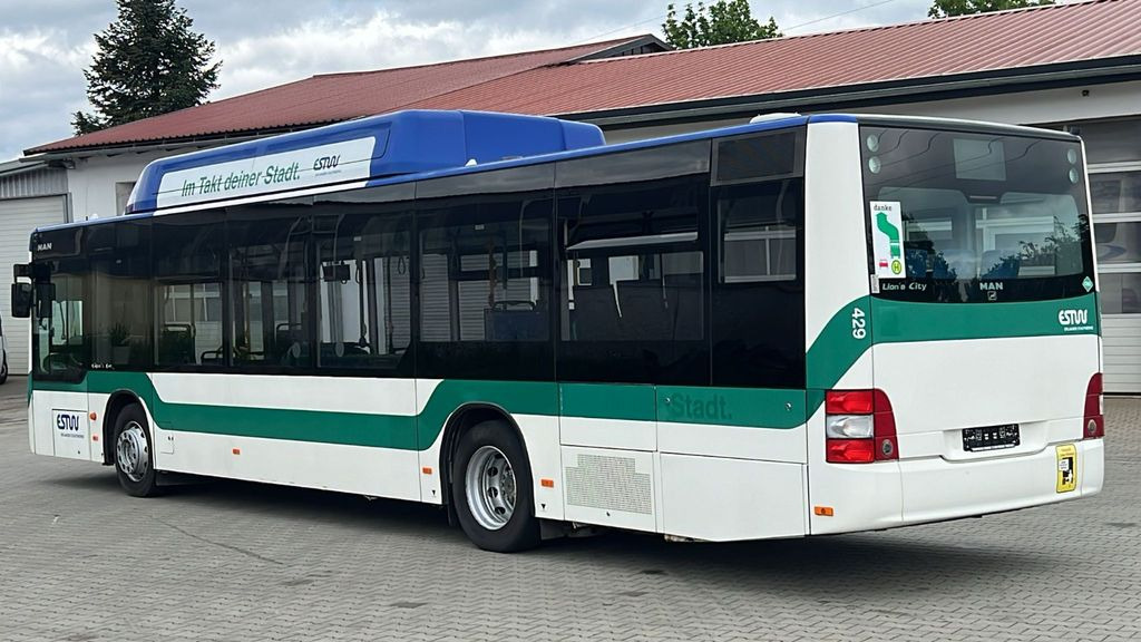 MAN A 21 CNG Euro 5 EEV MAN A 21 CNG Euro 5 EEV - 시내버스 : 사진 5 MAN A 21 CNG Euro 5 EEV MAN A 21 CNG Euro 5 EEV - 시내버스 : 사진 5