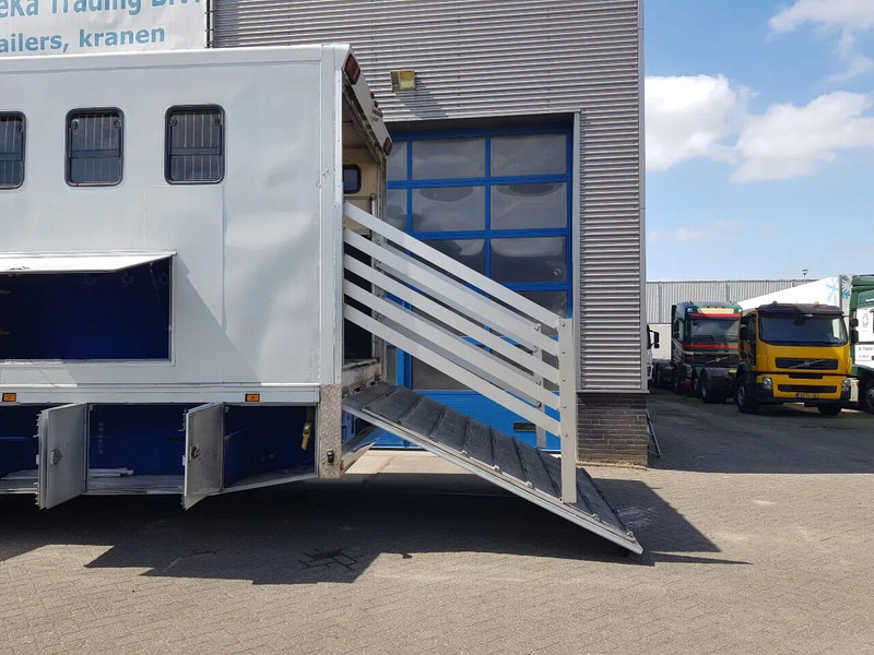 DAF 95.350 Paardenwagen met zitverblijf 7 paarden 7 horses - 말 수송 트럭 : 사진 5 DAF 95.350 Paardenwagen met zitverblijf 7 paarden 7 horses - 말 수송 트럭 : 사진 5
