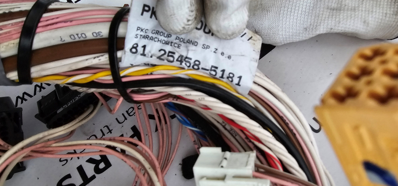 예비 부속 트럭 용 MAN MAN TGX, TGS EURO6 cable harness with connectors inside cab, full set, wiring set electric support 81254586184, 81254585181, 81254566672, 81254595085, 81254585533, 81254566749 : 사진 10