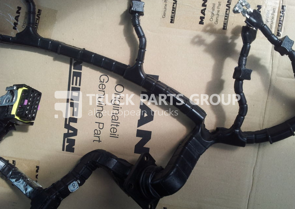 MAN TGA, TGX, TGS, TGM, TGL, EURO3, EURO4, EURO5, EURO6 cable harnes wiring - 케이블/ 와이어 하니스 트럭 용 : 사진 1 MAN TGA, TGX, TGS, TGM, TGL, EURO3, EURO4, EURO5, EURO6 cable harnes wiring - 케이블/ 와이어 하니스 트럭 용 : 사진 1