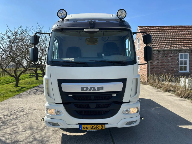 DAF LF 250 / NL TRUCK / EURO6 / LENGTE BAK 950cm / 12T - 자동 운반 장치 트럭 : 사진 2 DAF LF 250 / NL TRUCK / EURO6 / LENGTE BAK 950cm / 12T - 자동 운반 장치 트럭 : 사진 2