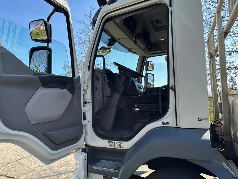 DAF LF 250 / NL TRUCK / EURO6 / LENGTE BAK 950cm / 12T - 자동 운반 장치 트럭 : 사진 5 DAF LF 250 / NL TRUCK / EURO6 / LENGTE BAK 950cm / 12T - 자동 운반 장치 트럭 : 사진 5