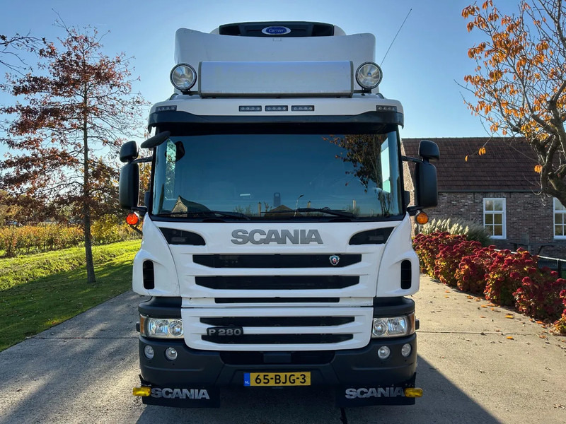 Scania P280 / NL TRUCK / EURO 6 / FULL AIR / CARRIER SUPRA 1250 / TOPCONDITION / LIFT+DOORS - 냉동탑차 : 사진 2 Scania P280 / NL TRUCK / EURO 6 / FULL AIR / CARRIER SUPRA 1250 / TOPCONDITION / LIFT+DOORS - 냉동탑차 : 사진 2