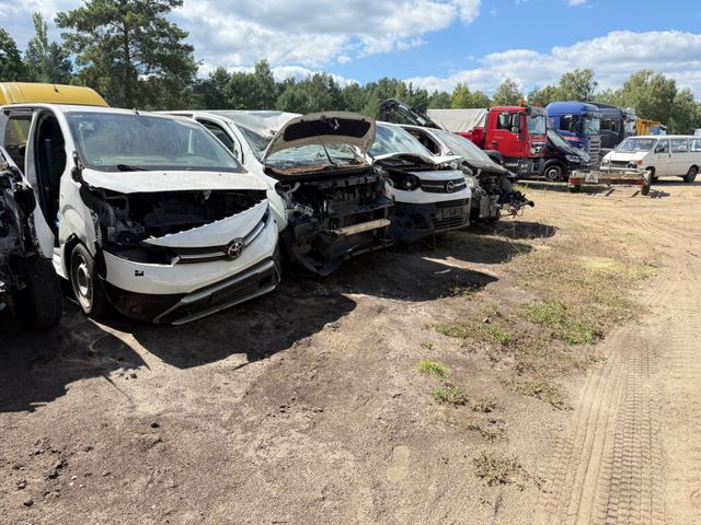 Toyota Proace L1 Kasten Meister ERSATZTEILENSPENDER - 소형 밴 : 사진 3 Toyota Proace L1 Kasten Meister ERSATZTEILENSPENDER - 소형 밴 : 사진 3