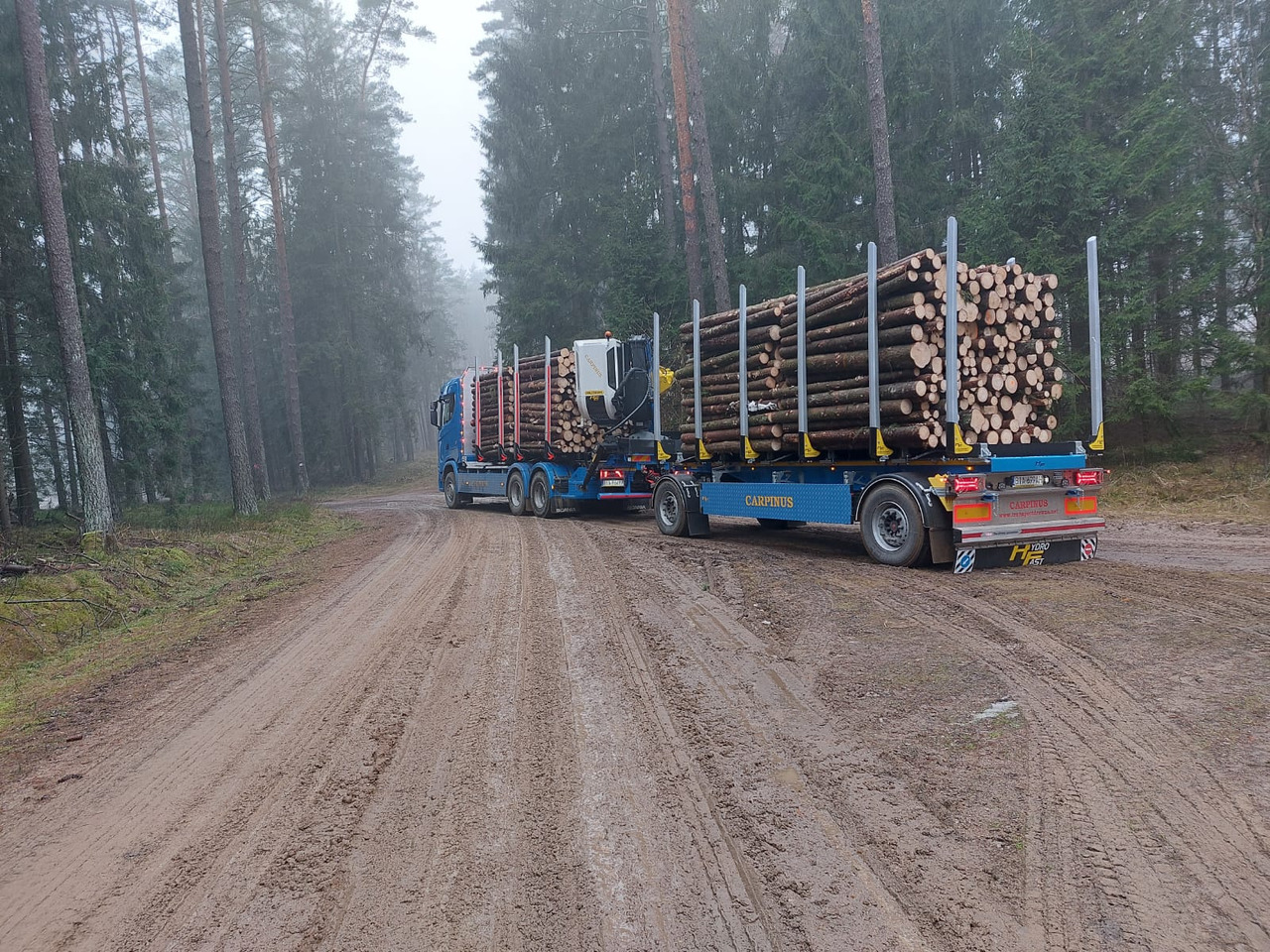 Hydrofast Przyczepa 2 osiowa do drewna stosowego HFP2/2-axle timber trailer HFP2 - 목재 트레일러 : 사진 3 Hydrofast Przyczepa 2 osiowa do drewna stosowego HFP2/2-axle timber trailer HFP2 - 목재 트레일러 : 사진 3