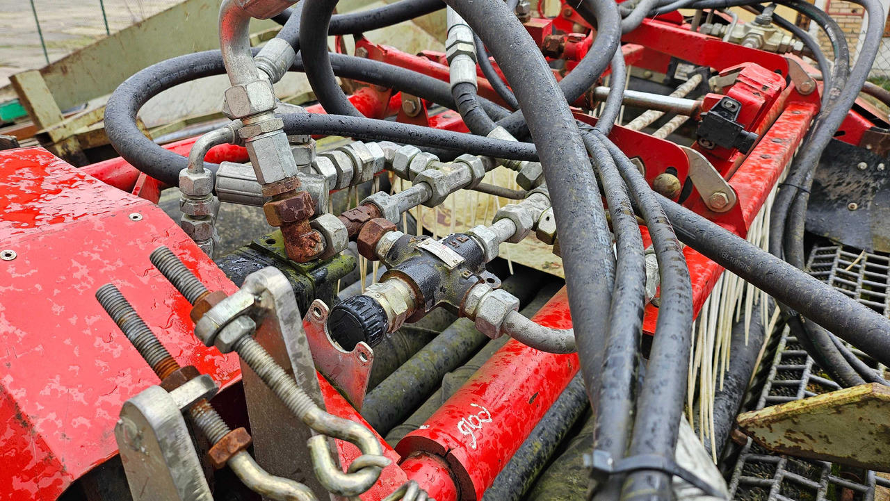 리스  Przemysłowa sortownia ziemniaków Herbert Grimme NOWA NIŻSZA CENA Przemysłowa sortownia ziemniaków Herbert Grimme NOWA NIŻSZA CENA : 사진 7