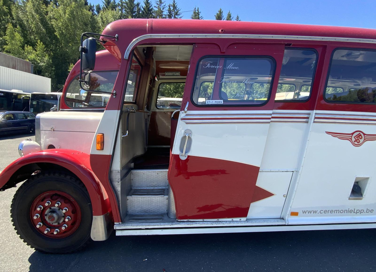 Leyland Tiger TS6 - 버스 : 사진 4 Leyland Tiger TS6 - 버스 : 사진 4