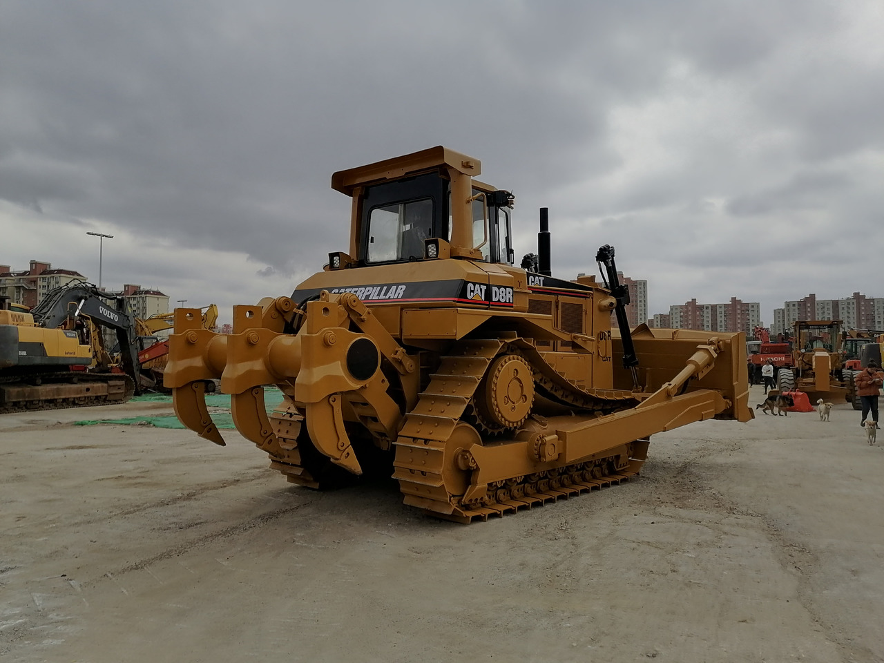 CATERPILLAR D8R - 불도저 : 사진 4 CATERPILLAR D8R - 불도저 : 사진 4