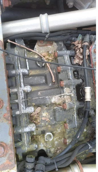 Renault Premium 420 Dci Engine + Automatic Gearbox - 엔진 트럭 용 : 사진 5 Renault Premium 420 Dci Engine + Automatic Gearbox - 엔진 트럭 용 : 사진 5