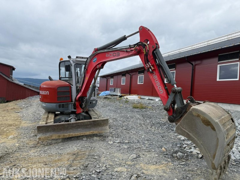 2008 Neuson 6003 - 굴착기 : 사진 3 2008 Neuson 6003 - 굴착기 : 사진 3