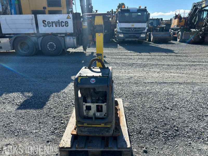 2020 Wacker Neuson Dpu 5545 - 롤러 : 사진 2 2020 Wacker Neuson Dpu 5545 - 롤러 : 사진 2