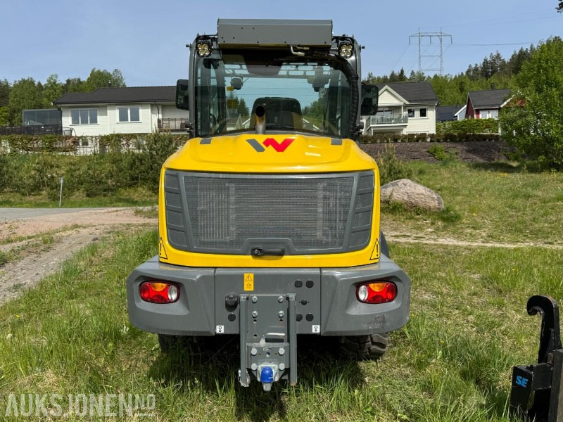2023 Wacker Neuson WL70 hjullaster / Skuffe / Pallegafler - 휠 로더 : 사진 5 2023 Wacker Neuson WL70 hjullaster / Skuffe / Pallegafler - 휠 로더 : 사진 5