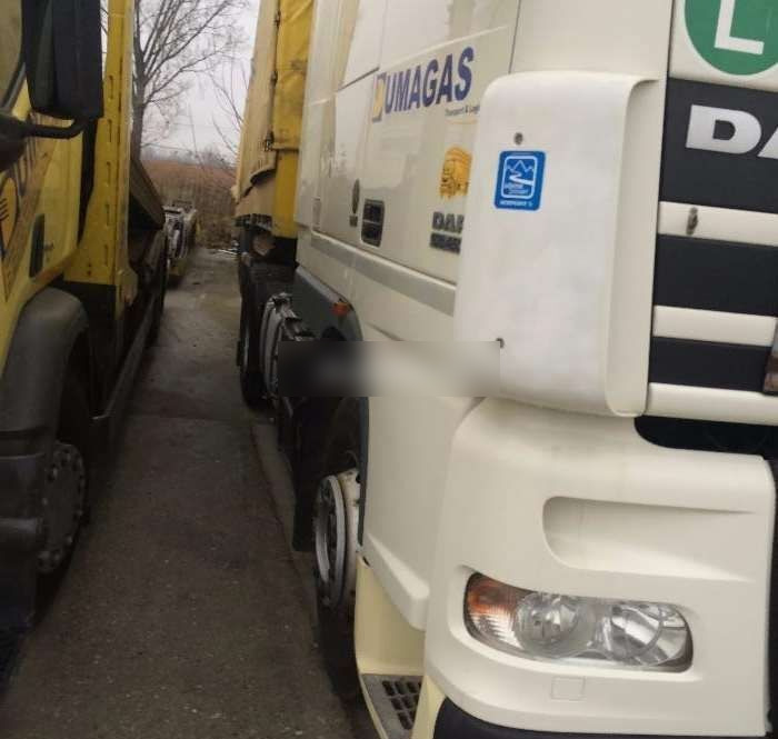 DAF Dezmembrari XF 105 EURO 5 - 트랙터 유닛 : 사진 2 DAF Dezmembrari XF 105 EURO 5 - 트랙터 유닛 : 사진 2