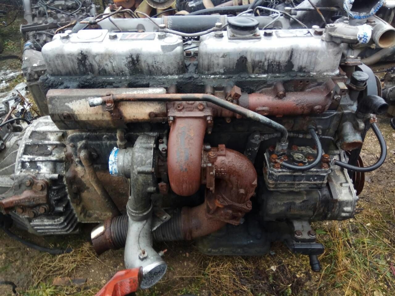 DAF ATI WS268   DAF ATI DAF 85 95 - 엔진 트럭 용 : 사진 2 DAF ATI WS268   DAF ATI DAF 85 95 - 엔진 트럭 용 : 사진 2