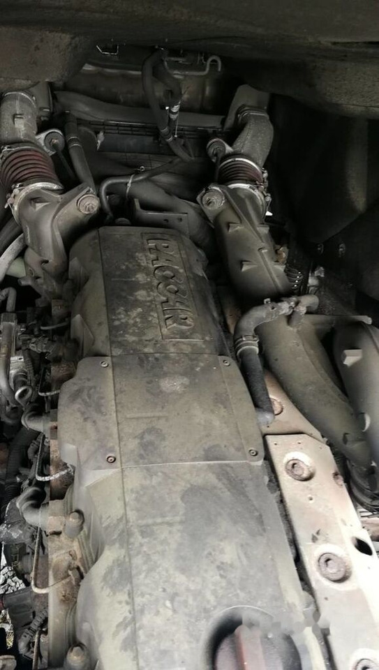 DAF MX340S1 - 엔진 트럭 용 : 사진 1 DAF MX340S1 - 엔진 트럭 용 : 사진 1