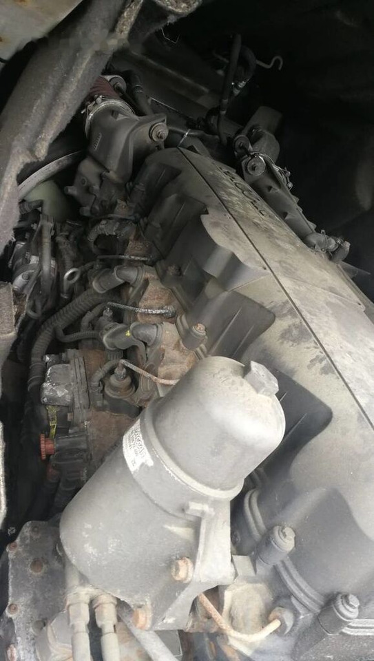 DAF MX340S1 - 엔진 트럭 용 : 사진 3 DAF MX340S1 - 엔진 트럭 용 : 사진 3