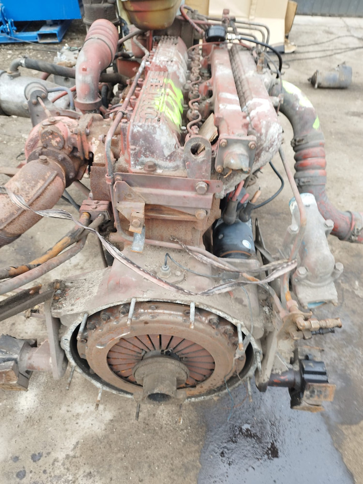 IVECO 8460.41M.70 IVECO MAGIRUS, FIAT, UNIC - 엔진 버스 용 : 사진 5 IVECO 8460.41M.70 IVECO MAGIRUS, FIAT, UNIC - 엔진 버스 용 : 사진 5