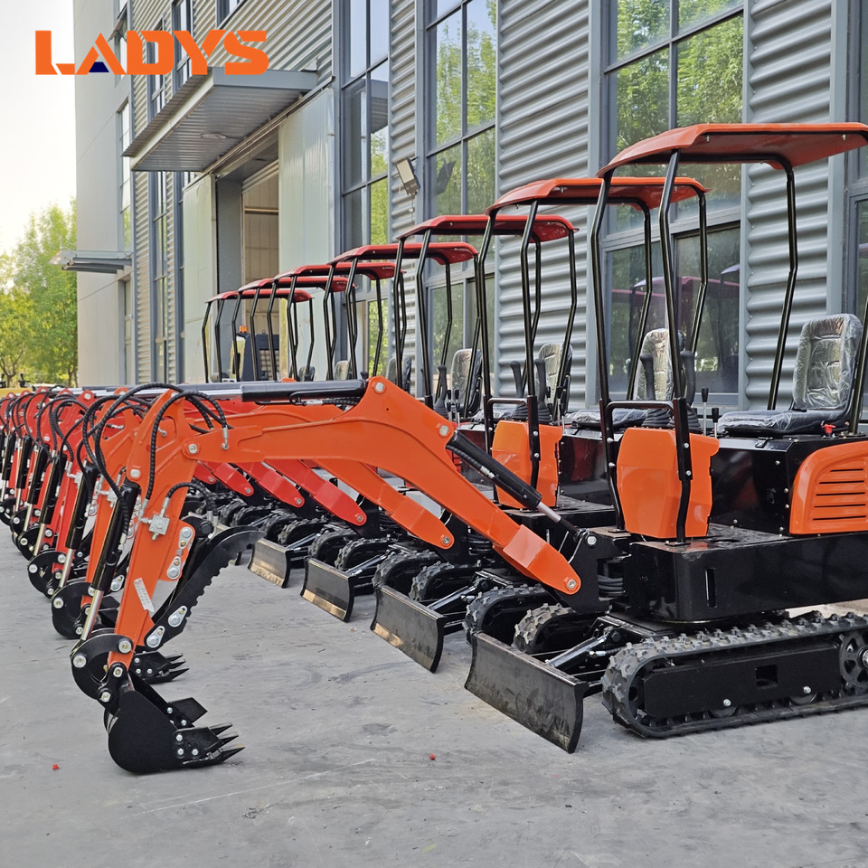 LADYS Mini Excavator CE Certification Kubota Engine(Factory Outlet) Mini Pelle Minibagger Minikoparka Miniexcavadora - 미니 굴삭기 : 사진 1 LADYS Mini Excavator CE Certification Kubota Engine(Factory Outlet) Mini Pelle Minibagger Minikoparka Miniexcavadora - 미니 굴삭기 : 사진 1