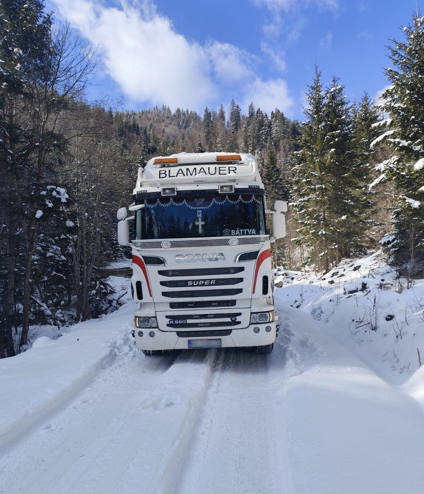 SCANIA R560 V8 - 목재 트럭, 크레인 트럭 : 사진 4 SCANIA R560 V8 - 목재 트럭, 크레인 트럭 : 사진 4