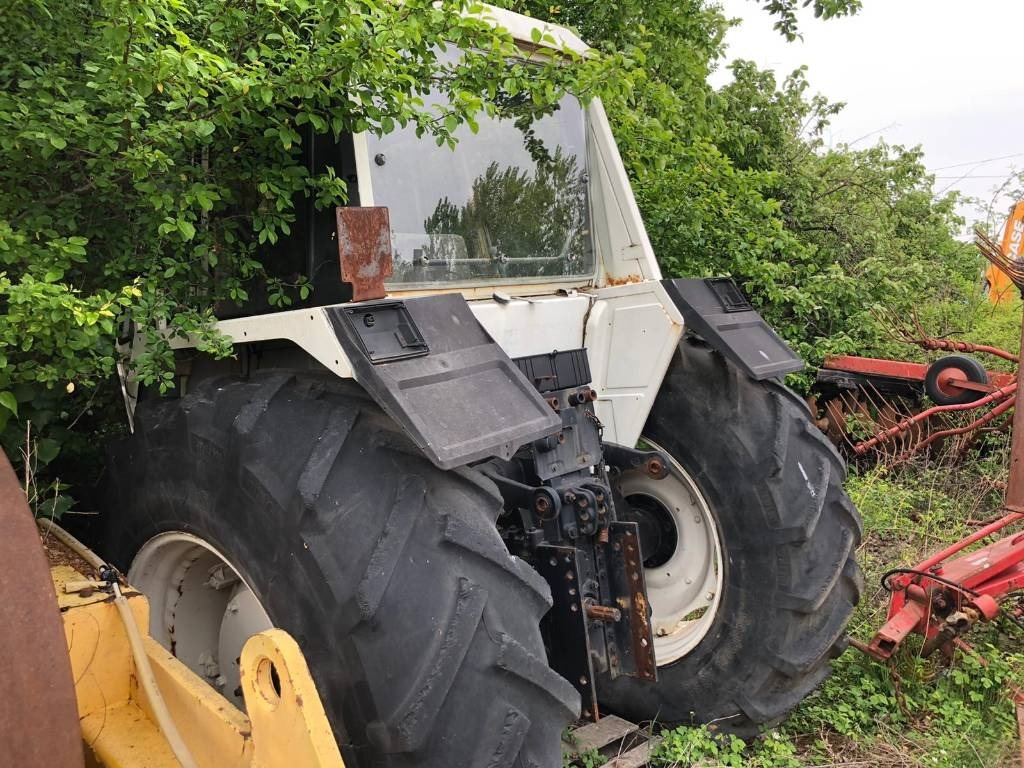 Lamborghini For Parts 1556 DT  - 장궤형 트랙터 : 사진 2 Lamborghini For Parts 1556 DT  - 장궤형 트랙터 : 사진 2