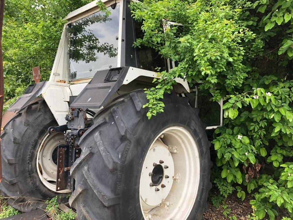 Lamborghini For Parts 1556 DT  - 장궤형 트랙터 : 사진 3 Lamborghini For Parts 1556 DT  - 장궤형 트랙터 : 사진 3