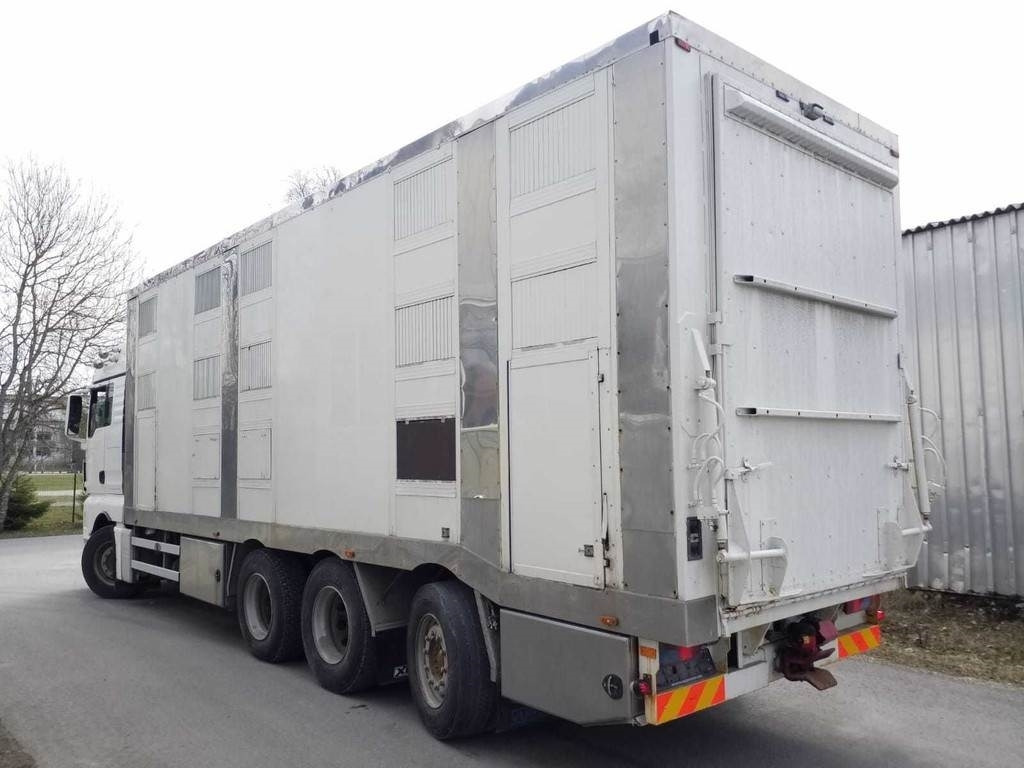 MAN TGX 35.540 8X4 TRIDEM ANIMAL - 가축 트럭 : 사진 2 MAN TGX 35.540 8X4 TRIDEM ANIMAL - 가축 트럭 : 사진 2