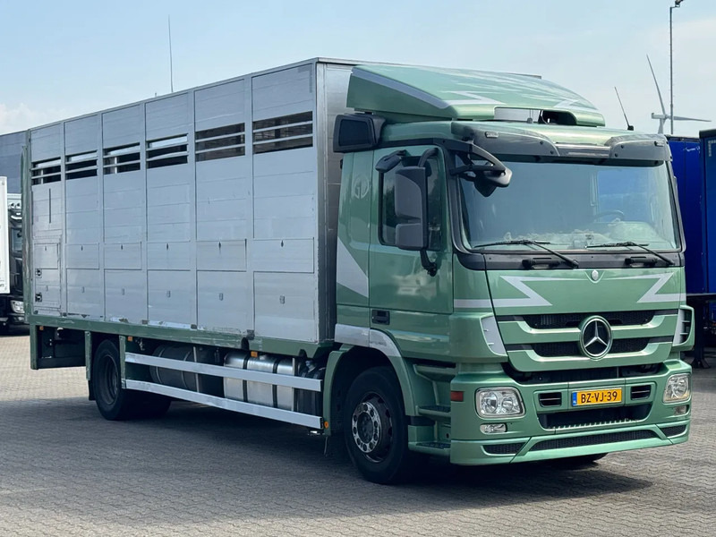 Mercedes-Benz Actros 1832 L 1 - 2 Stock Animal Transport - 가축 트럭 : 사진 2 Mercedes-Benz Actros 1832 L 1 - 2 Stock Animal Transport - 가축 트럭 : 사진 2