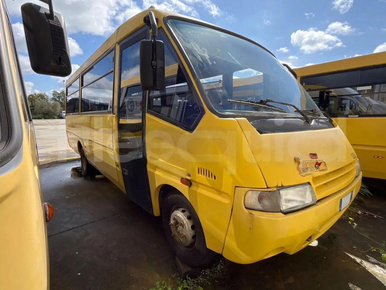 Iveco Cacciamali - 스쿨버스 : 사진 2 Iveco Cacciamali - 스쿨버스 : 사진 2