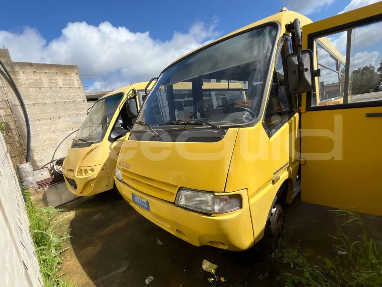 Iveco Cacciamali - 스쿨버스 : 사진 1 Iveco Cacciamali - 스쿨버스 : 사진 1