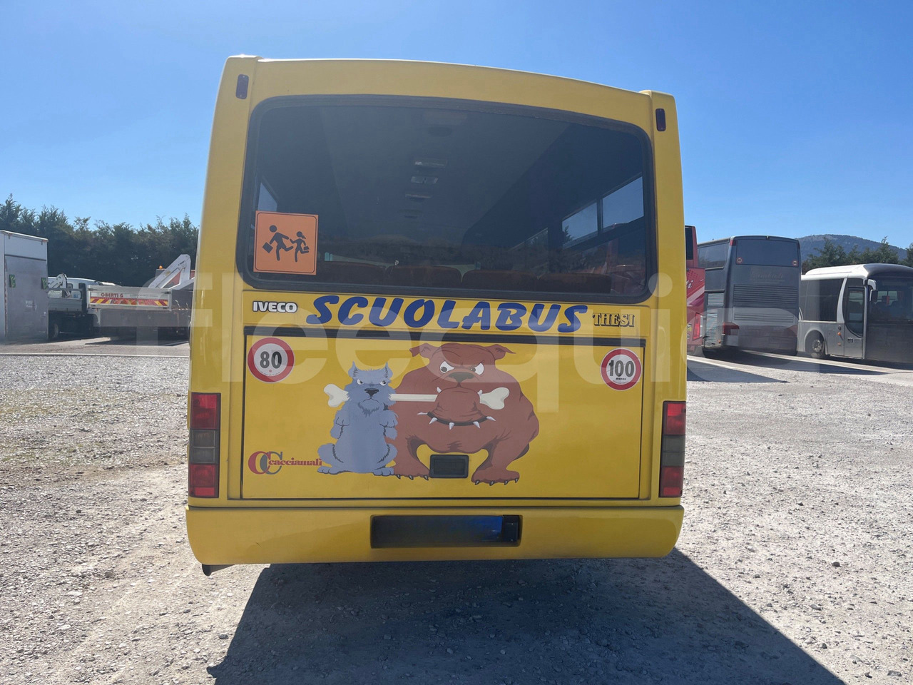 Iveco Cacciamali - 스쿨버스 : 사진 5 Iveco Cacciamali - 스쿨버스 : 사진 5