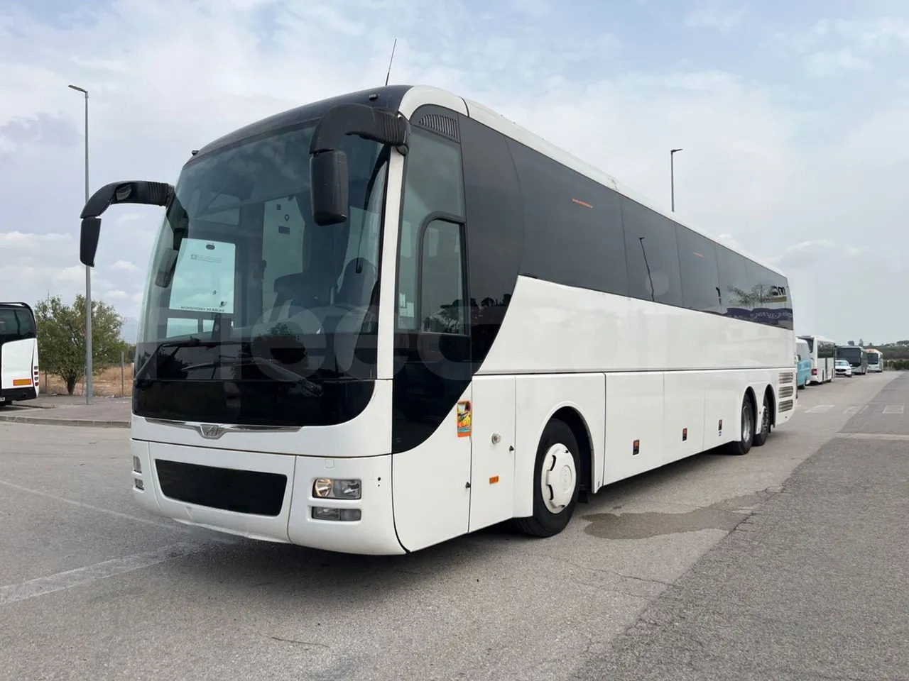 Man Lion's Coach - 대형 버스 : 사진 4 Man Lion's Coach - 대형 버스 : 사진 4