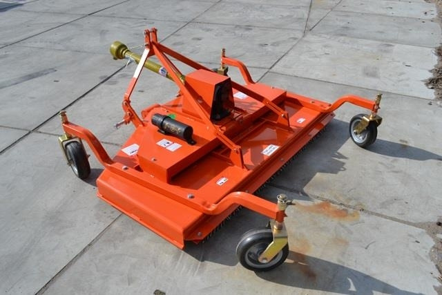 - - - boxer - 모어 : 사진 5 - - - boxer - 모어 : 사진 5