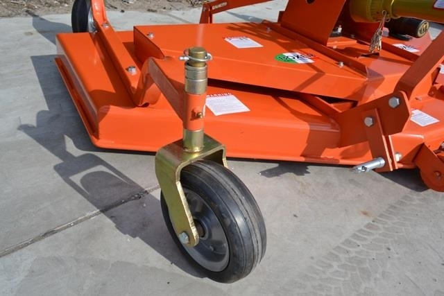 - - - boxer - 모어 : 사진 2 - - - boxer - 모어 : 사진 2