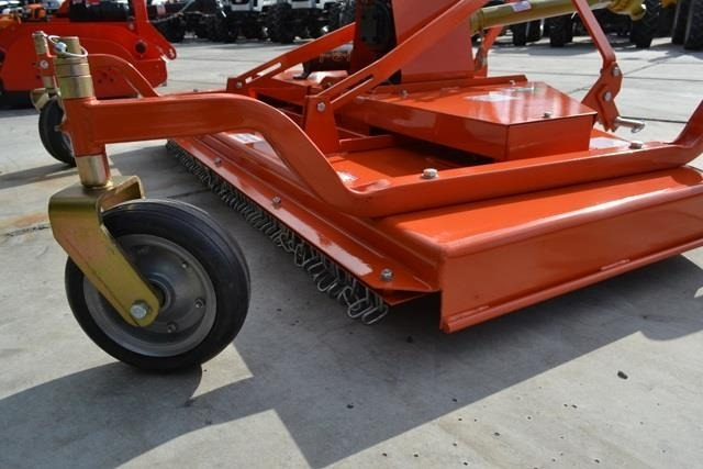 - - - boxer - 모어 : 사진 4 - - - boxer - 모어 : 사진 4