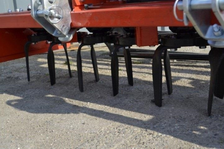 - - - boxer - 디스크 해로 : 사진 4 - - - boxer - 디스크 해로 : 사진 4