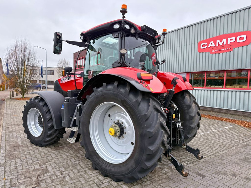 Case IH Puma 240 CVX Stage V GPS RTK - 장궤형 트랙터 : 사진 2 Case IH Puma 240 CVX Stage V GPS RTK - 장궤형 트랙터 : 사진 2