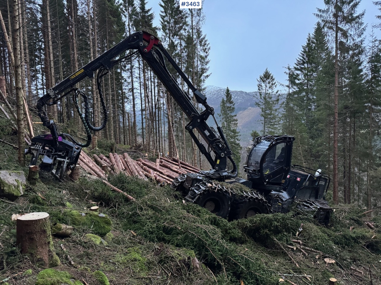 2022 Logset 12H GTE - 산림용 수확기 : 사진 5 2022 Logset 12H GTE - 산림용 수확기 : 사진 5