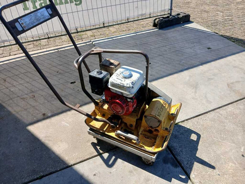 Wacker WPR 1350 - 진동판 : 사진 1 Wacker WPR 1350 - 진동판 : 사진 1